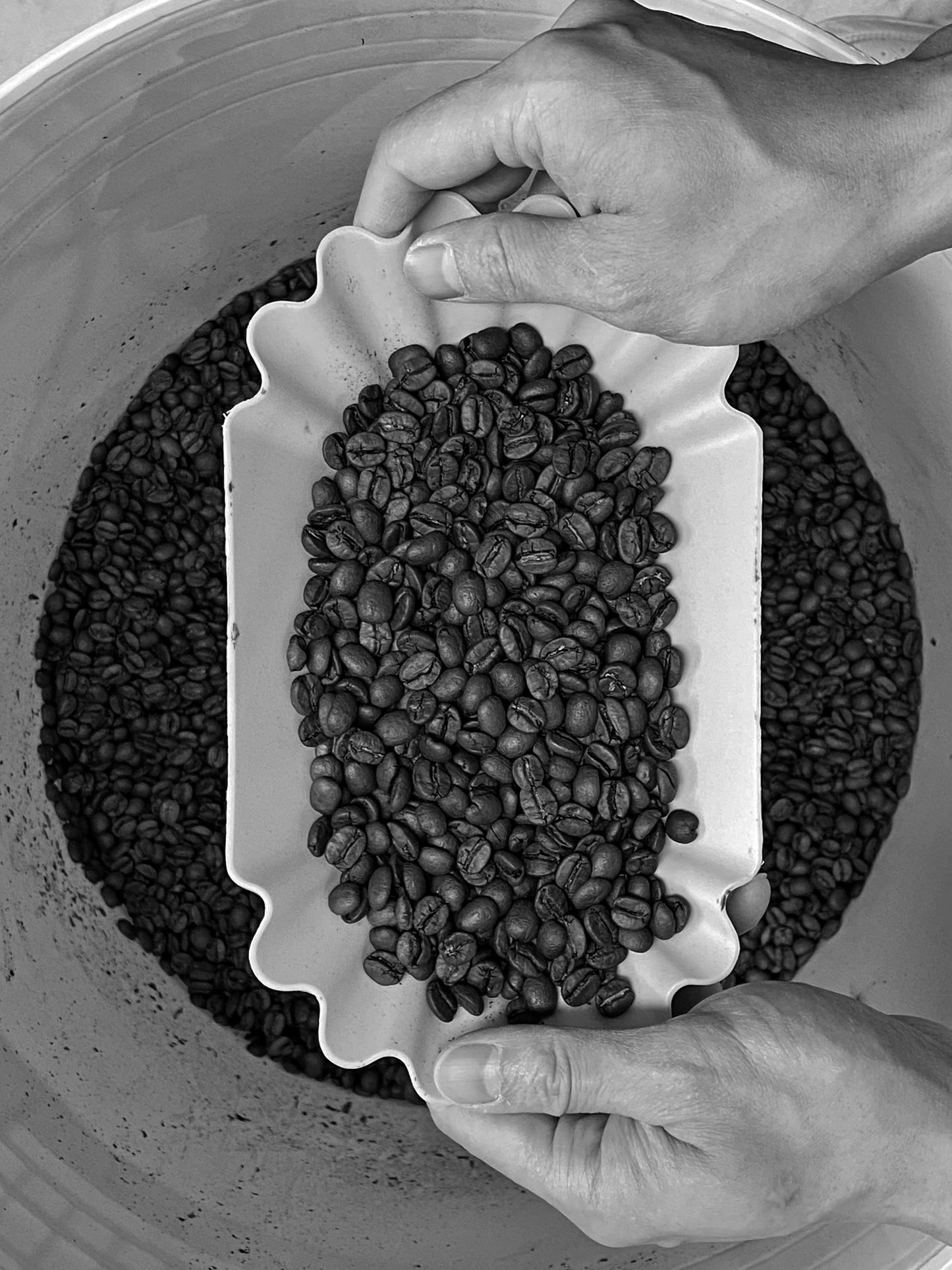 Ethiopia Sidama Bensa - Chilaka Station (Natural)