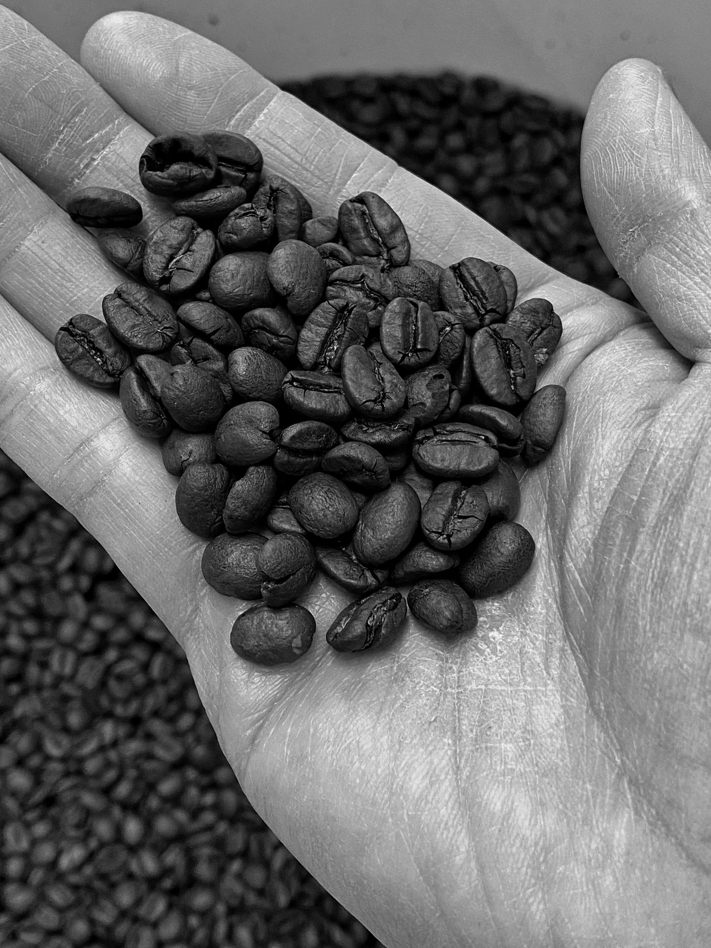 Ethiopia Sidama Bensa - Bombe Village (Anaerobic Natural)